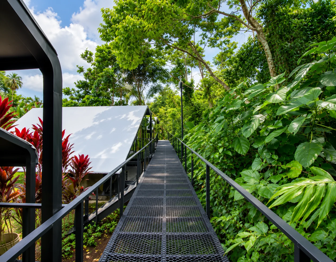 A walkway disappears into lush tropical plants